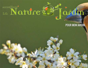 Nature O Jardin